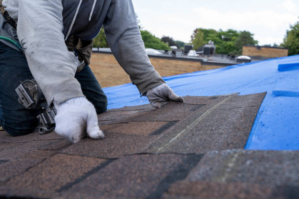 Professional Roofing Contractor in North Kensington, MD